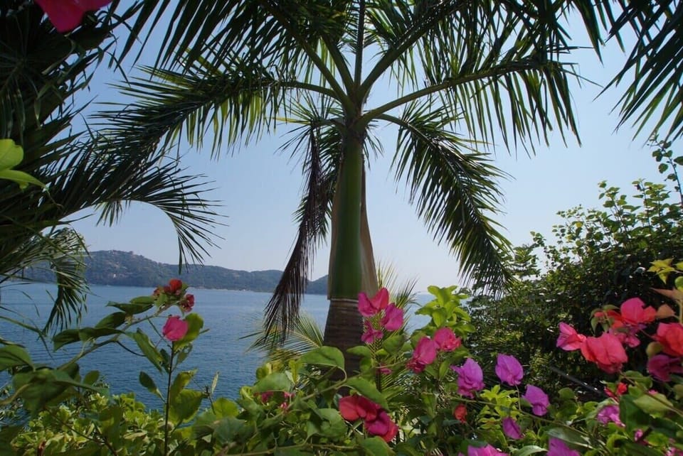 Views and Garden