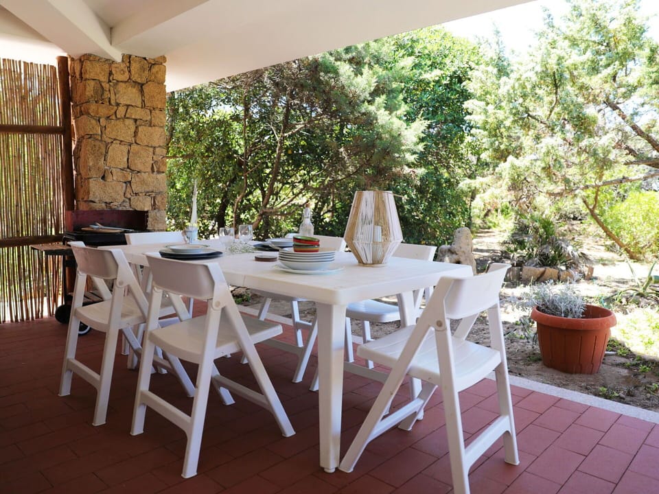 Plant, Table, Furniture, Chair, Tree, Outdoor Table, Wood, Shade, Outdoor Furniture, Flowerpot