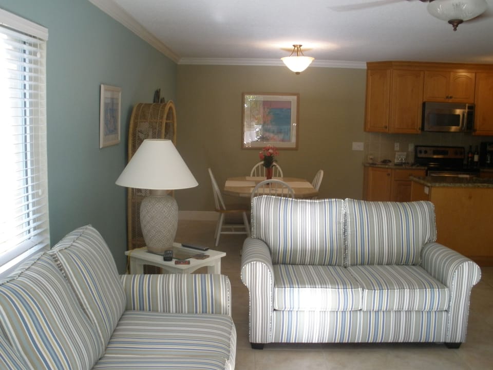 View looking in from the lanai at living room