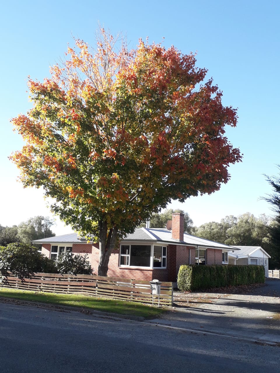 Autumn colours