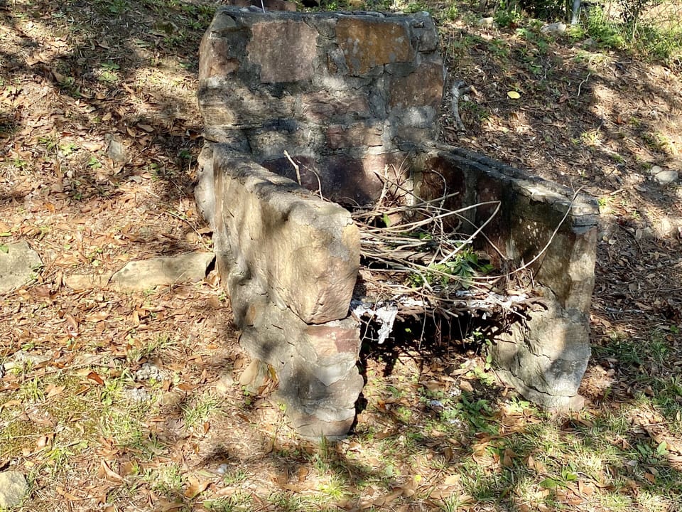 Fire pit in backyard 