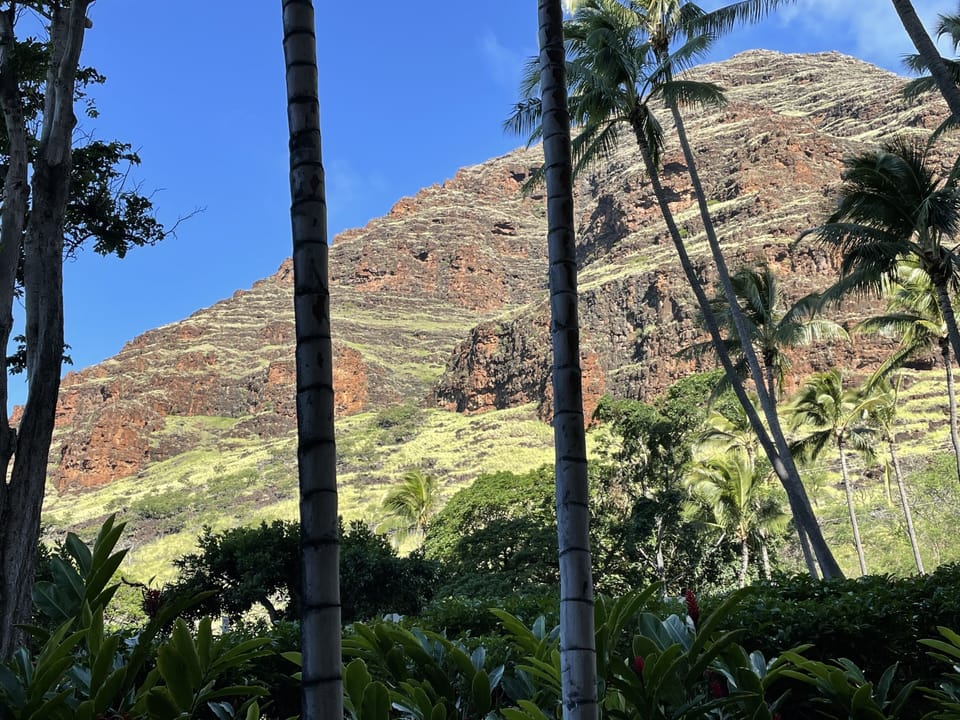 Mountain  view from entry.