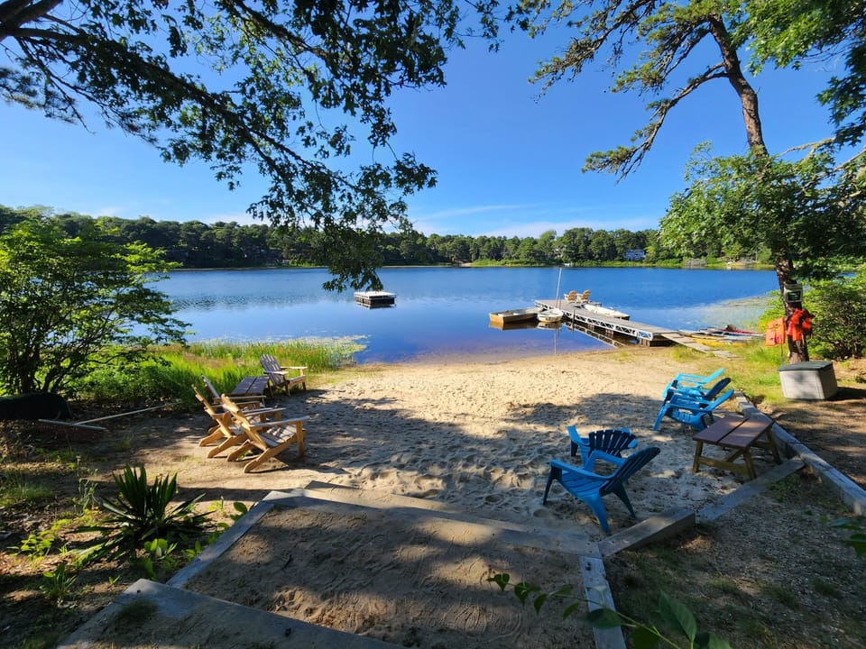 dock and swim area