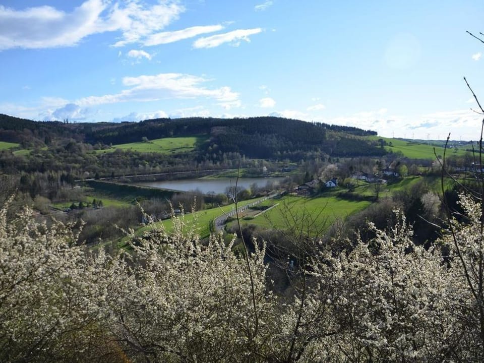 Familienzimmer, 2 Erw. + 2 Kinder - Burghaus und Villa Kronenburg House in Vulkaneifel