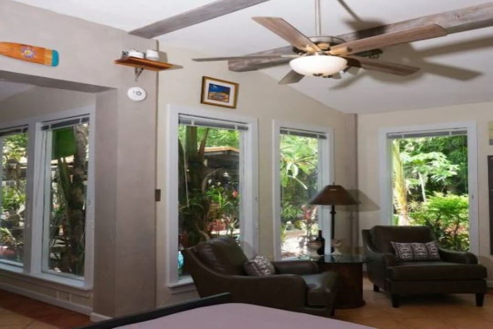 6ft. bay windows with garden views 