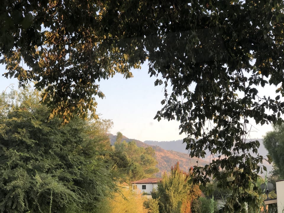 View from private patio.