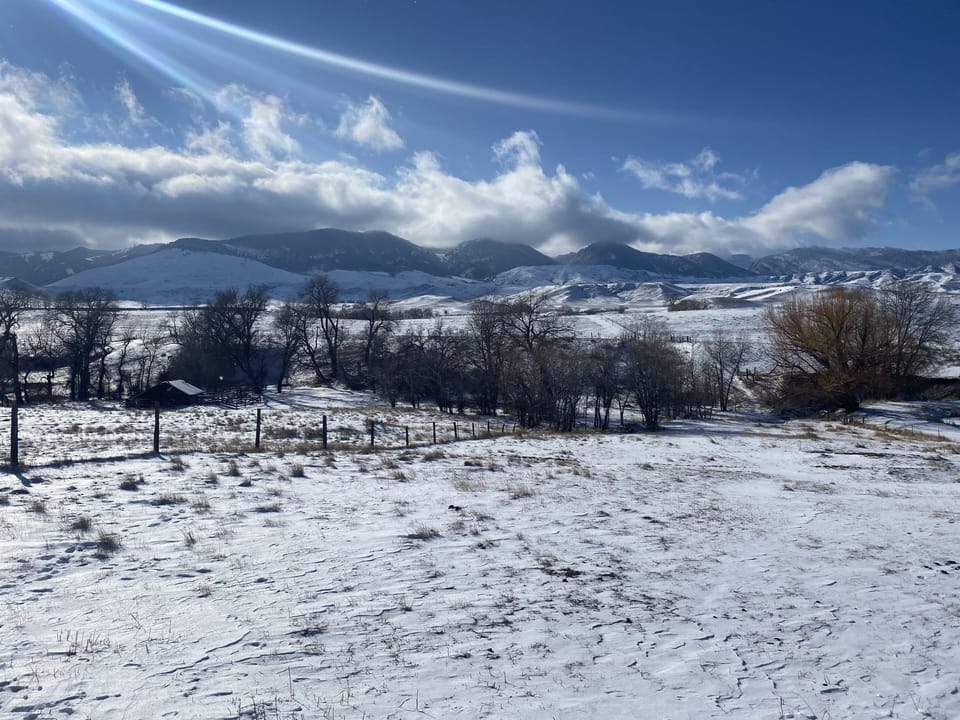 So beautiful even in the winter. ❄️