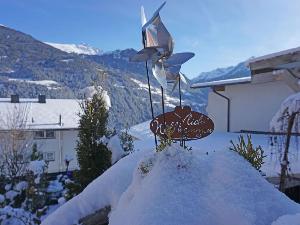 Sky, Snow, Building, Slope, Tree, Window, Mountain, Plant, House, Freezing