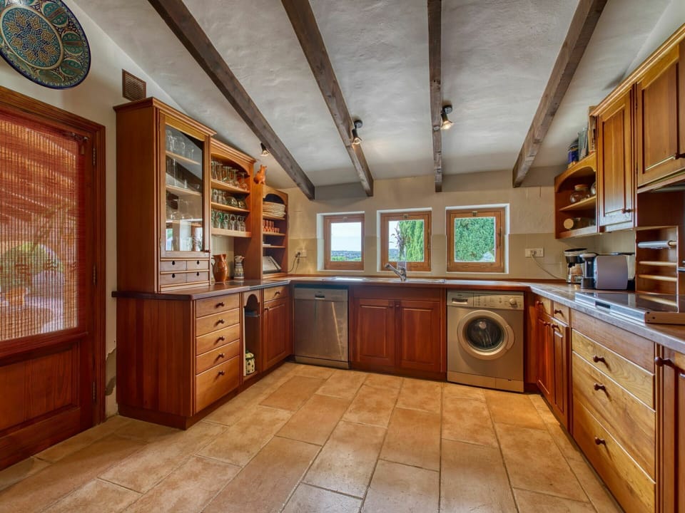 Cabinetry, Furniture, Countertop, Wood, Drawer, Kitchen Appliance, Interior Design, Kitchen, Plant, Wood Stain