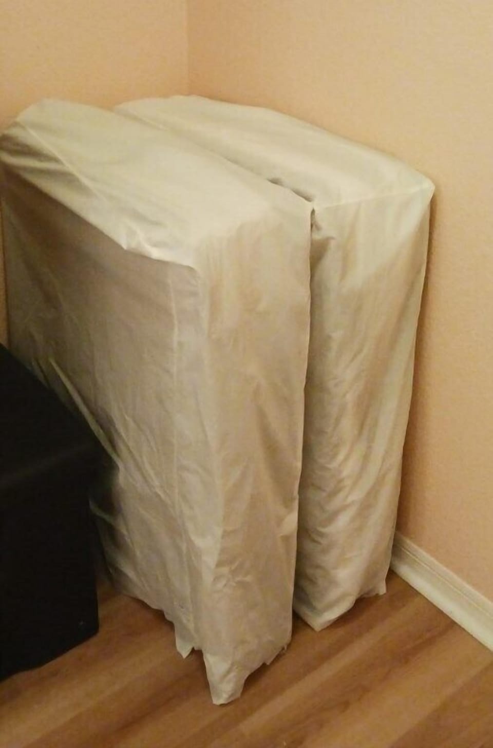 2 Folding beds stored in closet.