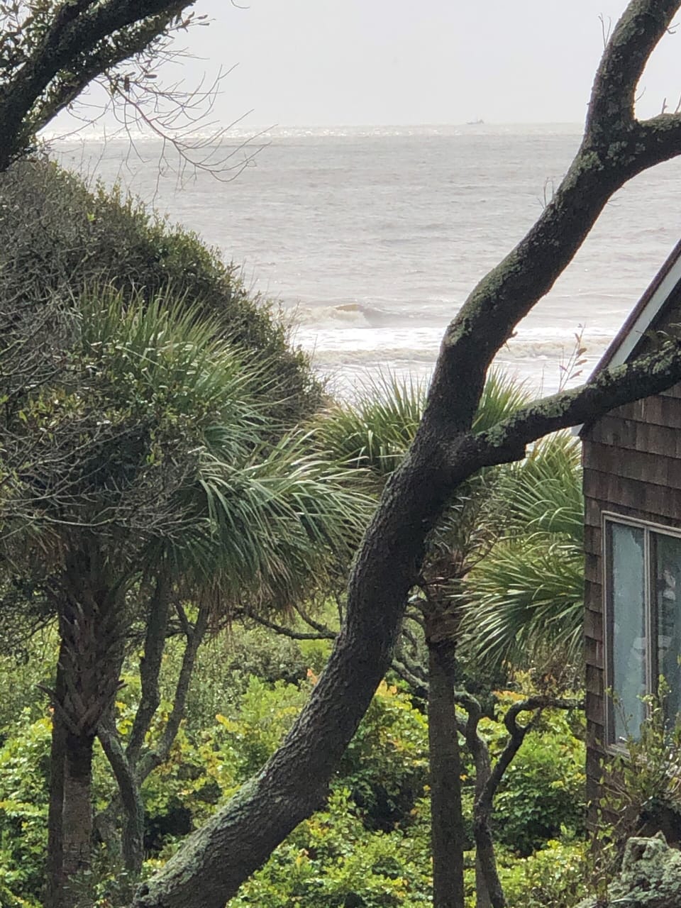 View from master bedroom