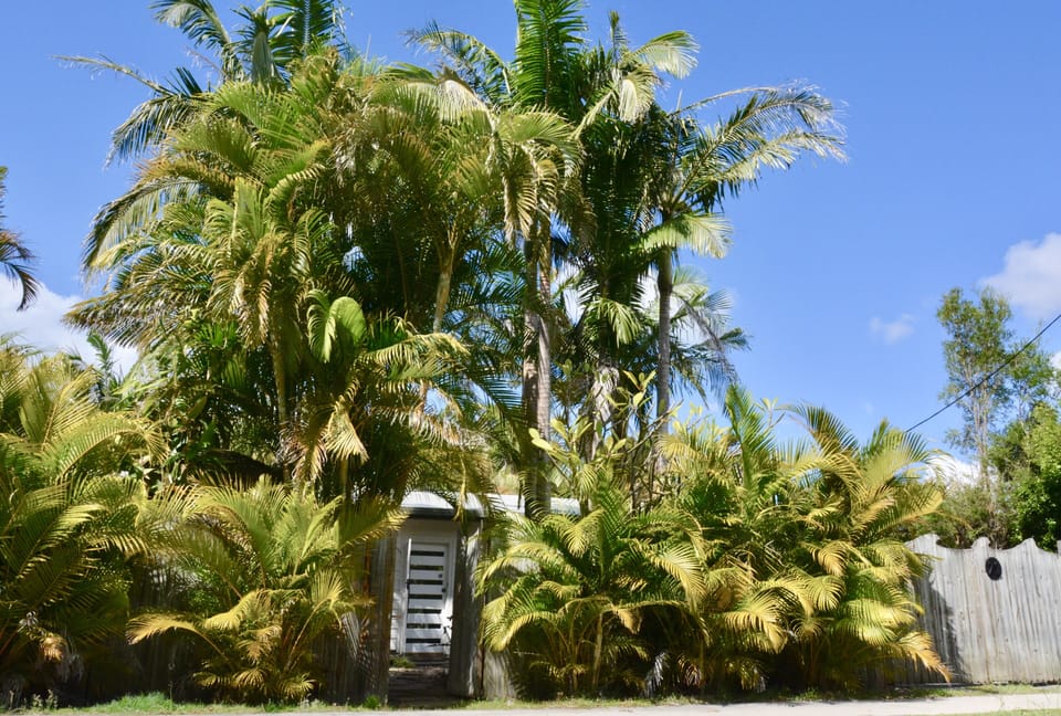 Street View of Paradise Palms