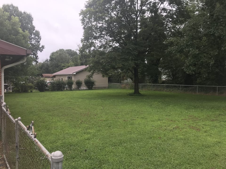Backyard