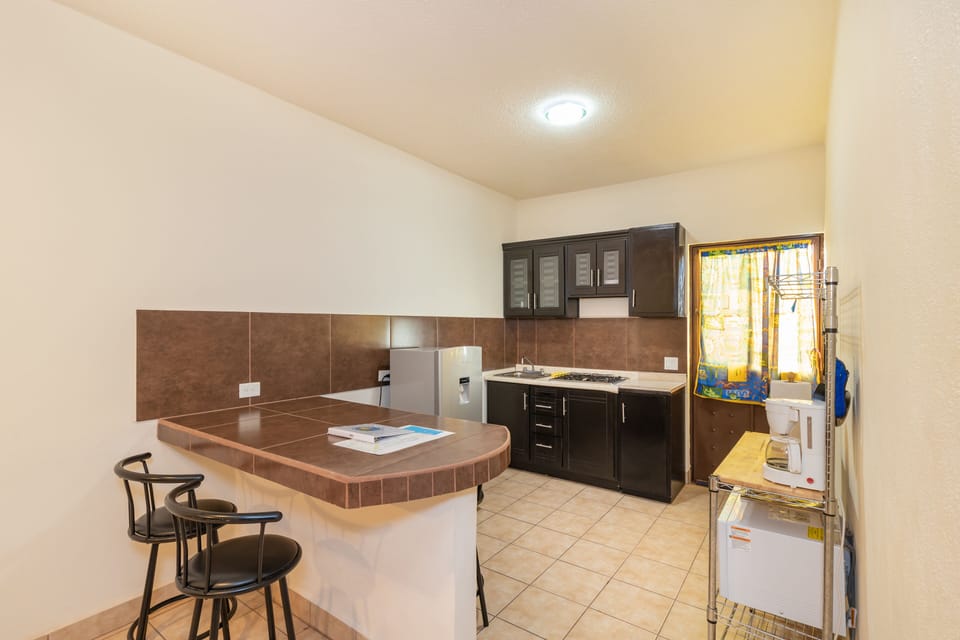 Kitchen, built-in bar, gas stove, fridge, backdoor leads to pool, gym & barbecue