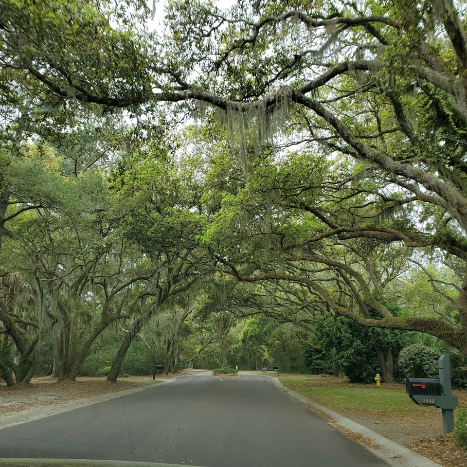 Seabrook Island Drive