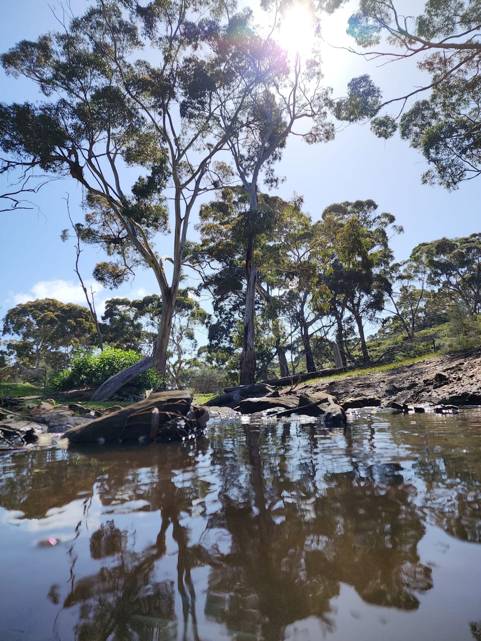 creek on property