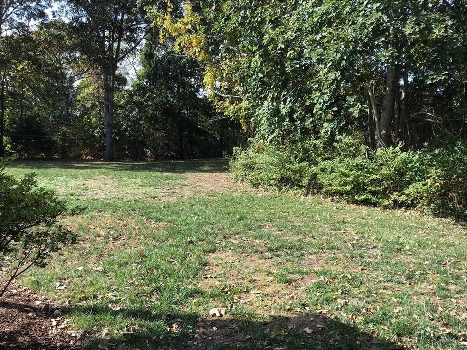 Large Yard