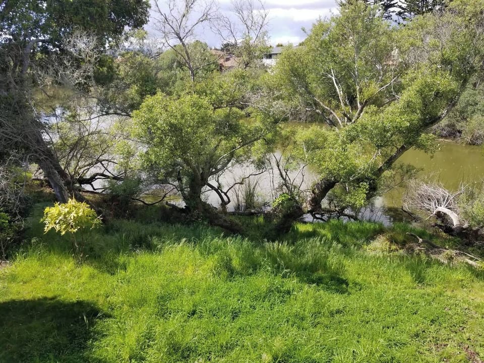 back yard/lagoon access