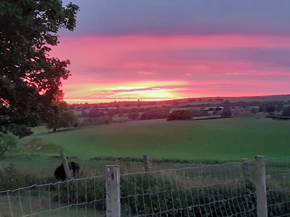 View | Lily Rose Cottage, Gilsland, near Brampton