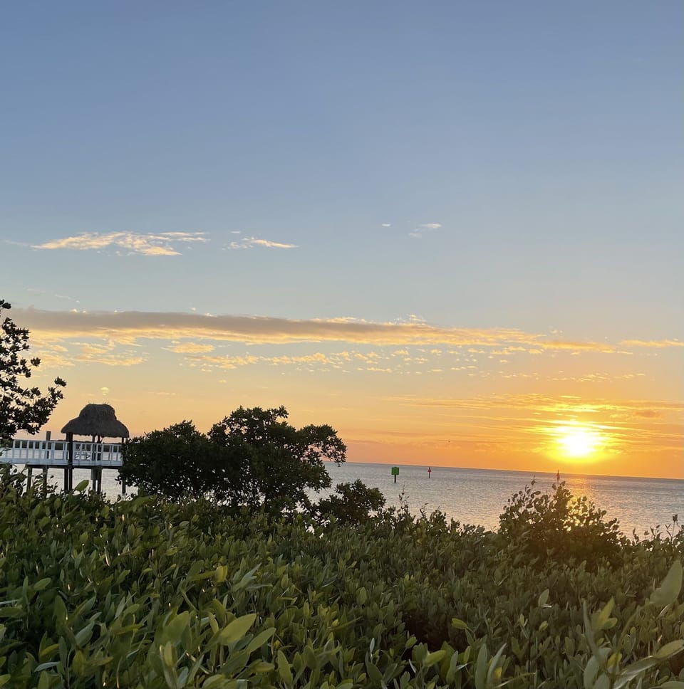 Watch the sunrise from the fishing pier