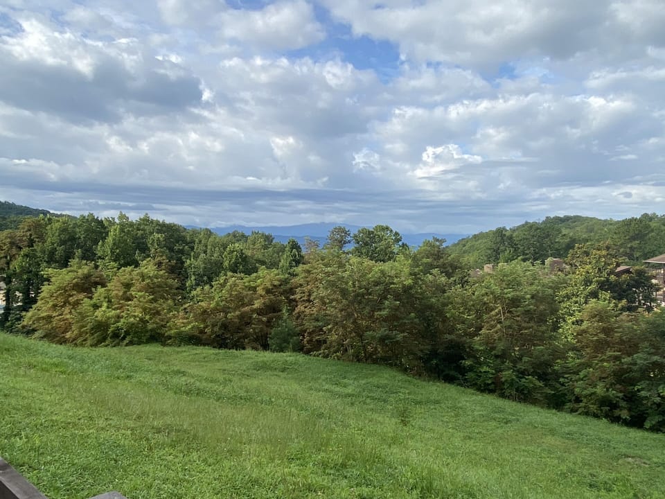 View from property