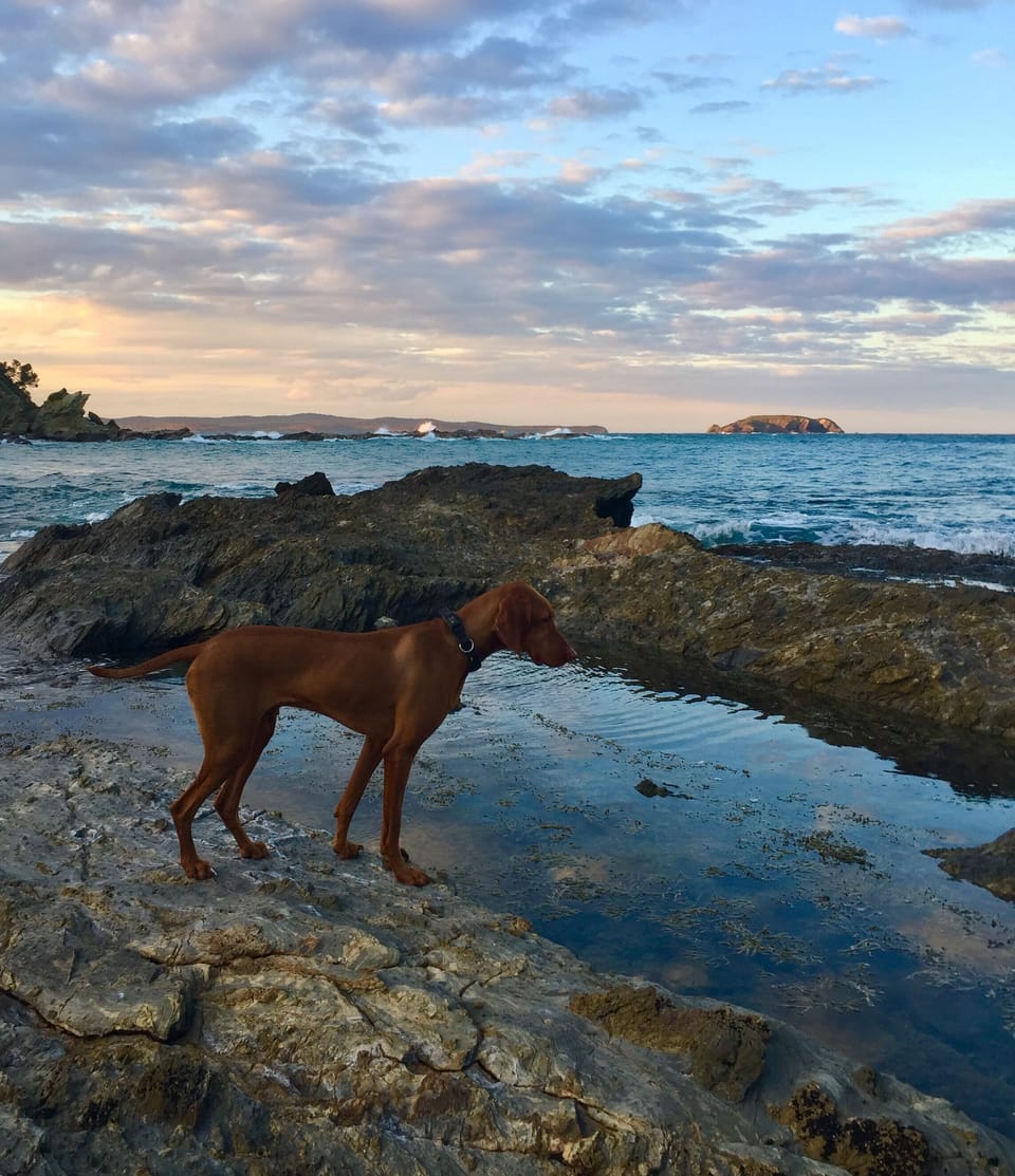 Garden Bay at Sunset