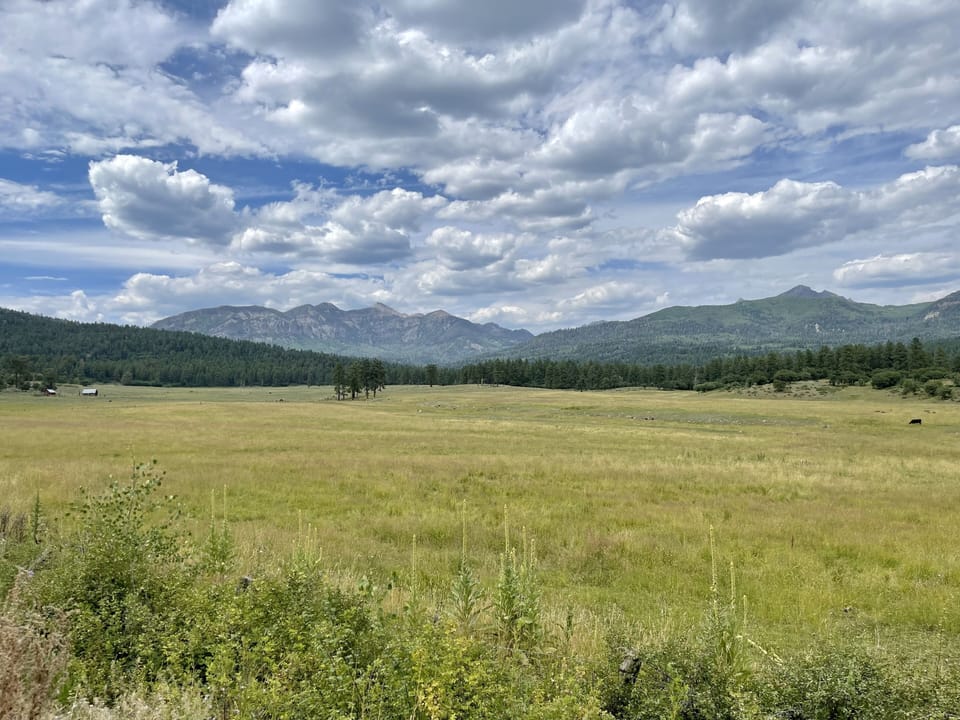 views from the road 