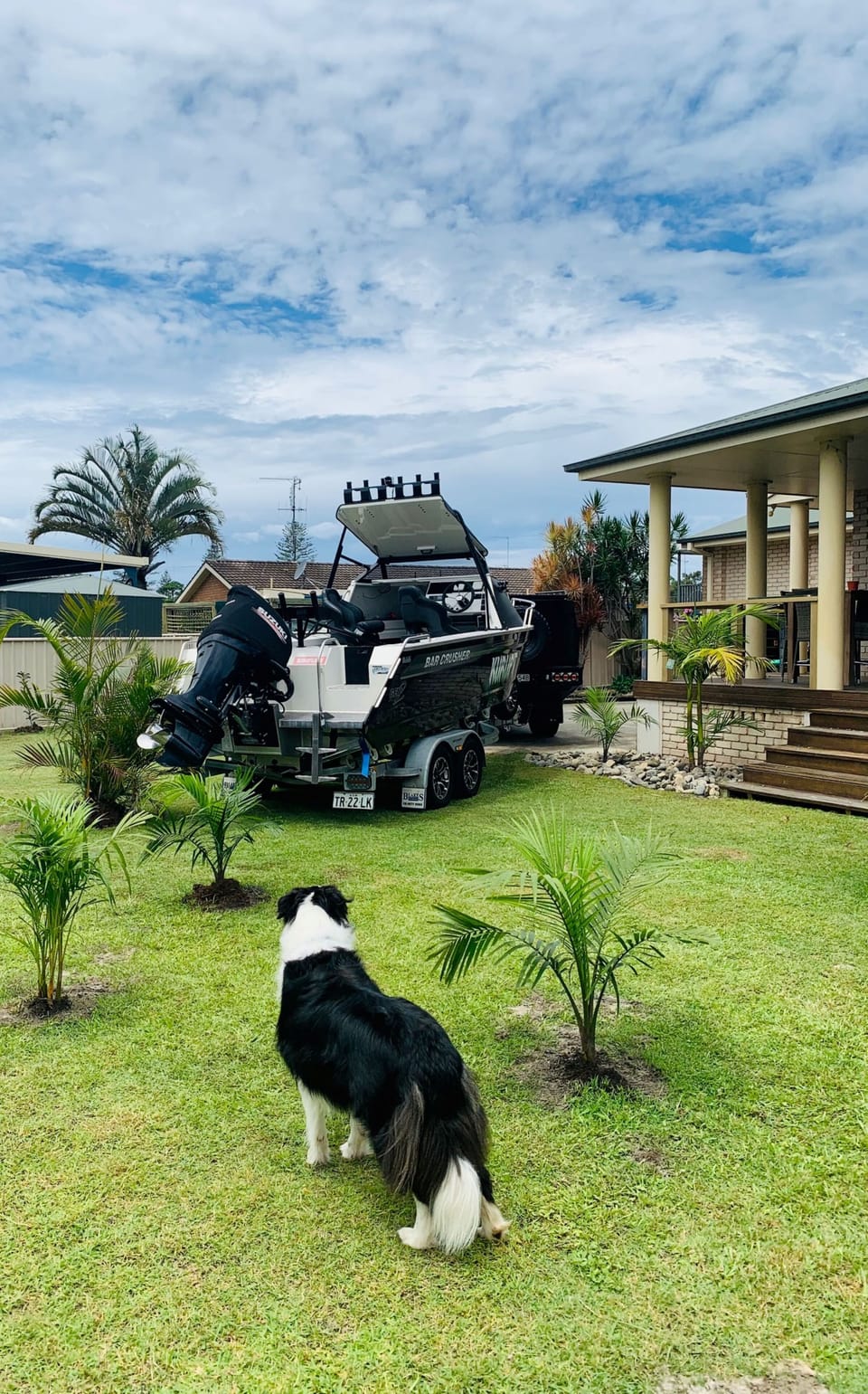 Dogs and Boats are welcome
Blue the Border Collie supervising the parking :)