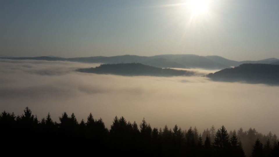 Gites 6p in the heart of the Htes Vosges. Ideal for dogs (play park) Apartment in Vosges