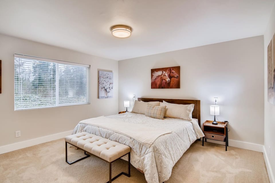 Downstairs 4th Bedroom - Oversize room with King Bed