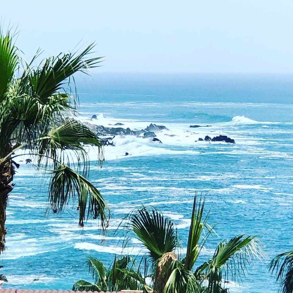 Stunning ocean views from all rooms 