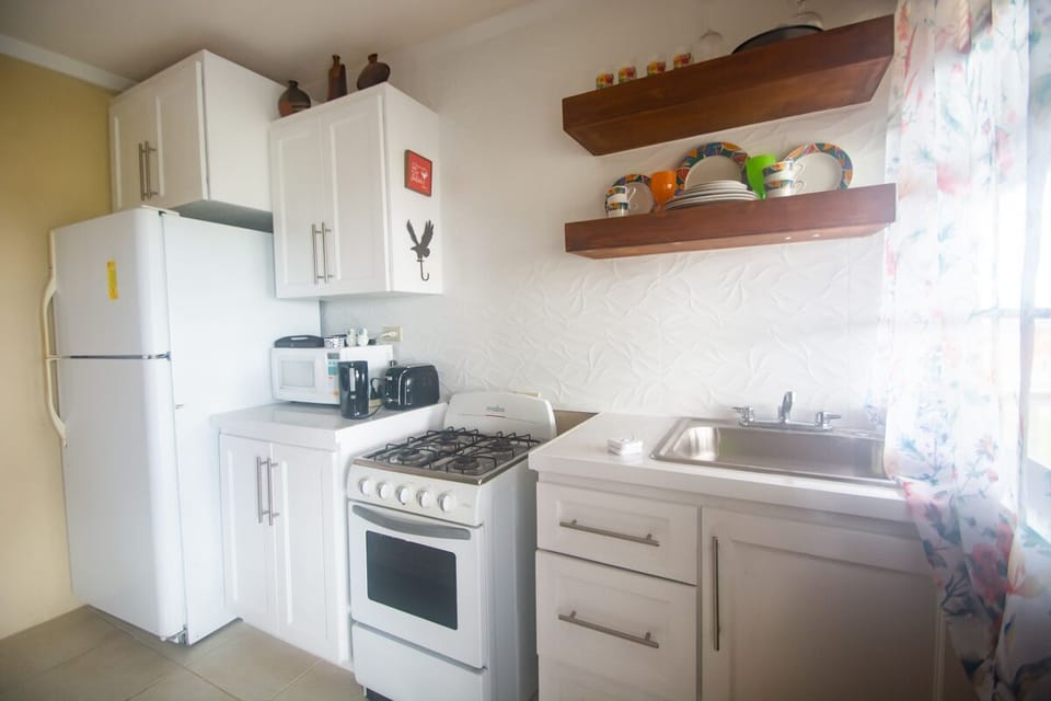 kitchen area in 1bdrm