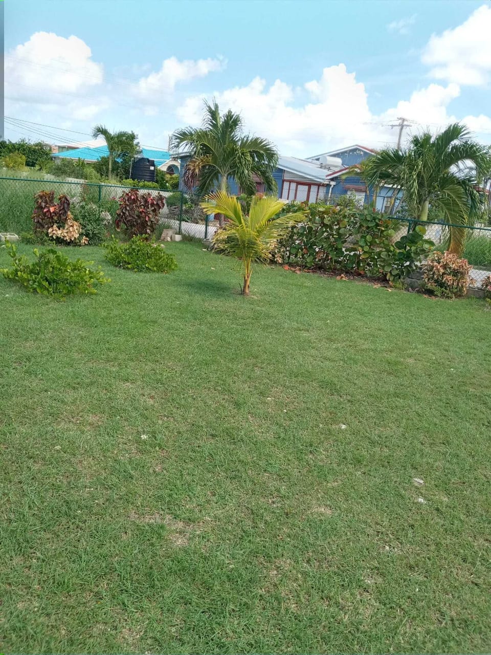 Large outdoor enclosed garden area