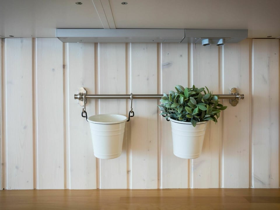 Flowerpot, Wall, Room, Interior Design, Tile, Floor, Plumbing Fixture, Plant, Houseplant, Flooring