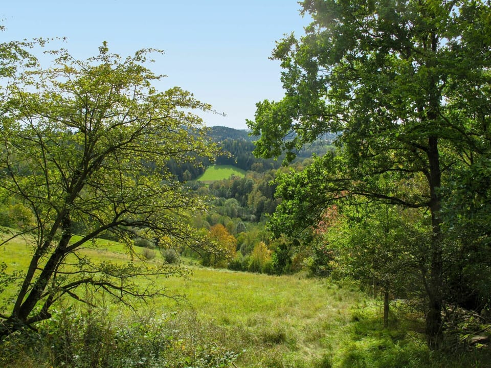 Natural Landscape, Tree, Vegetation, Nature, Green, Nature Reserve, Natural Environment, Forest, Grass, Biome