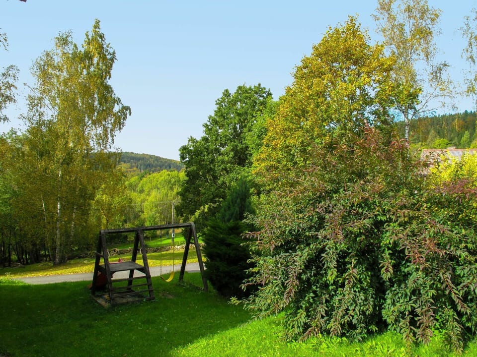 Tree, Natural Landscape, Nature, Green, Nature Reserve, Woody Plant, Grass, Plant, Leaf, Spring
