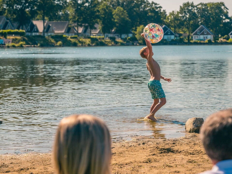 Water, Water Resources, Plant, Light, Tree, Lake
