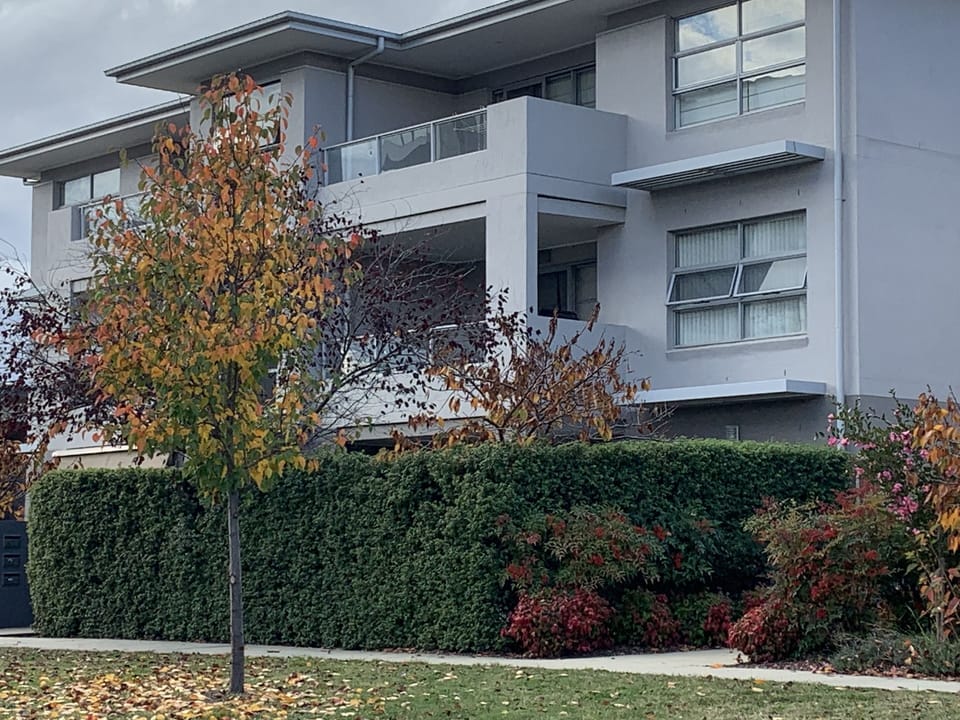 Fully fenced and hedged, private secure and pet friendly courtyard