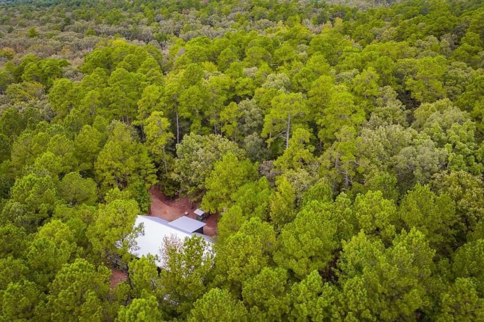 Seasonal therapy trees