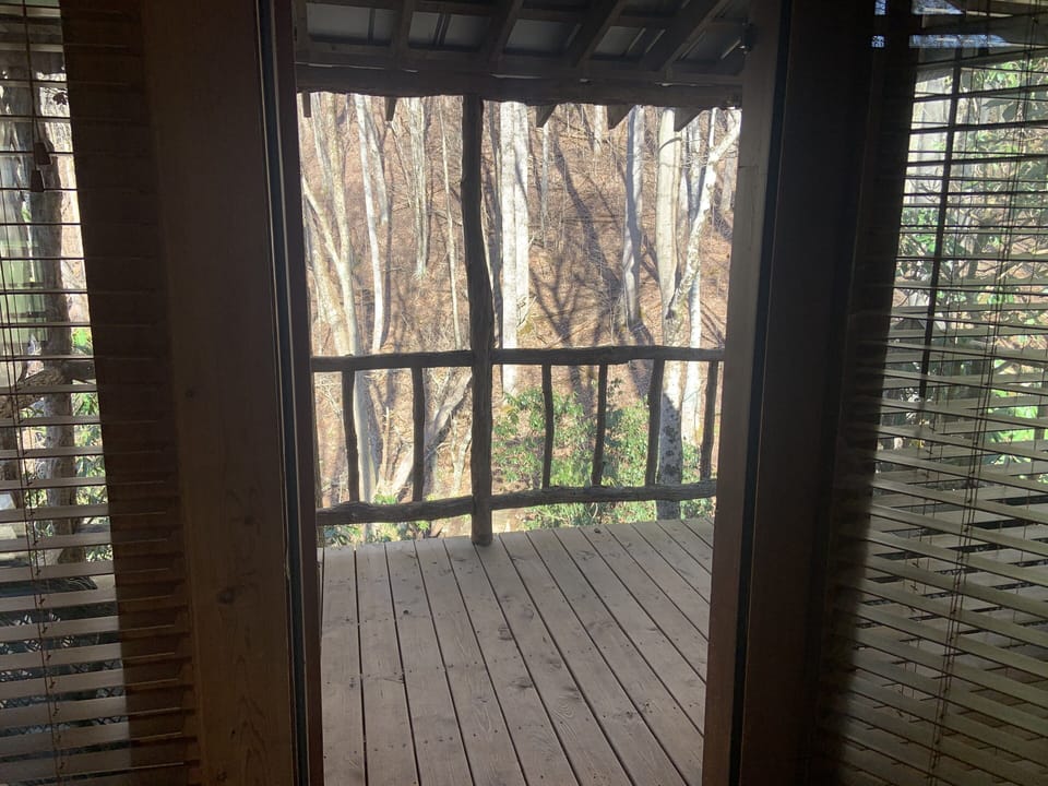 Deck (1)