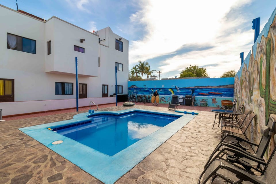 The backyard is fun. Lie in sun, swim in heated pool, barbecue your fresh fish!