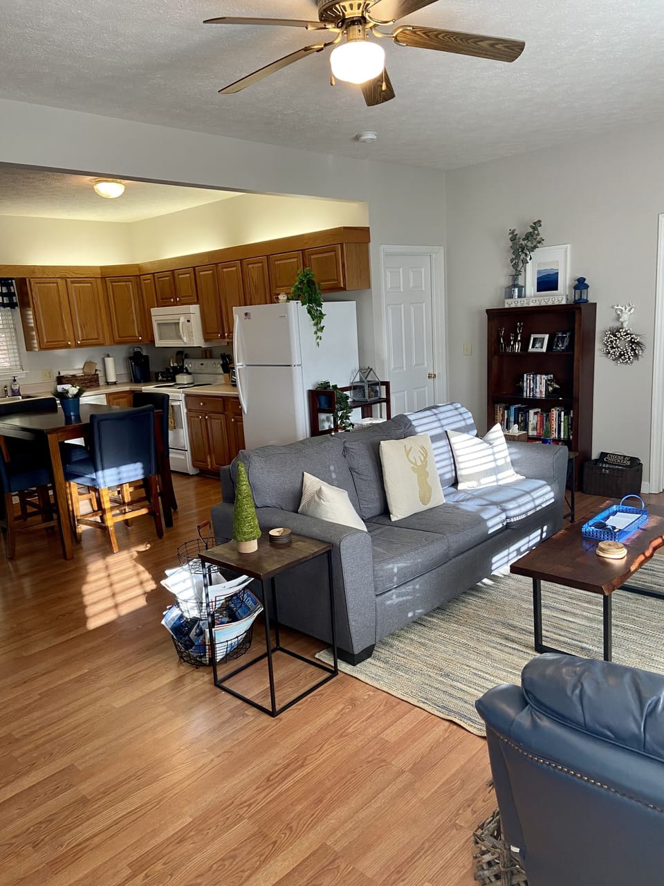 Living and Kitchen Area
