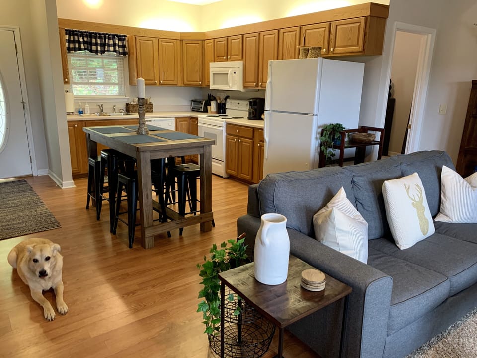 Kitchen and living room. 