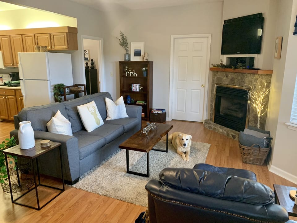 The living room. Sweet dog not included. :) 