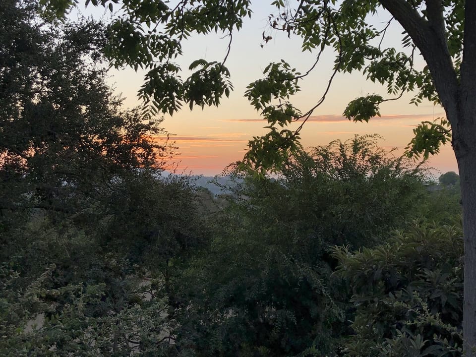Sunset Views