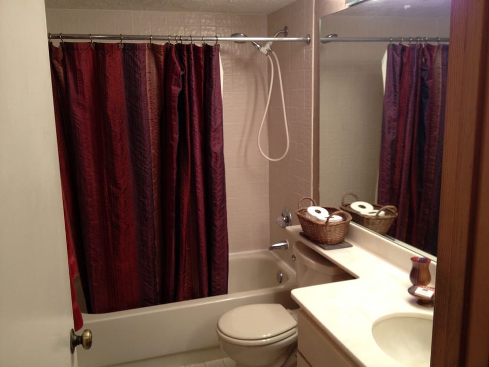 Guest bathroom (first floor)