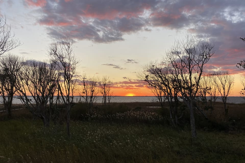 SCB24: Jewel of the Sound | Sunset View