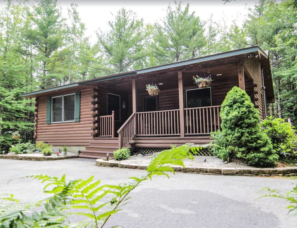 Summer time at the cabin!