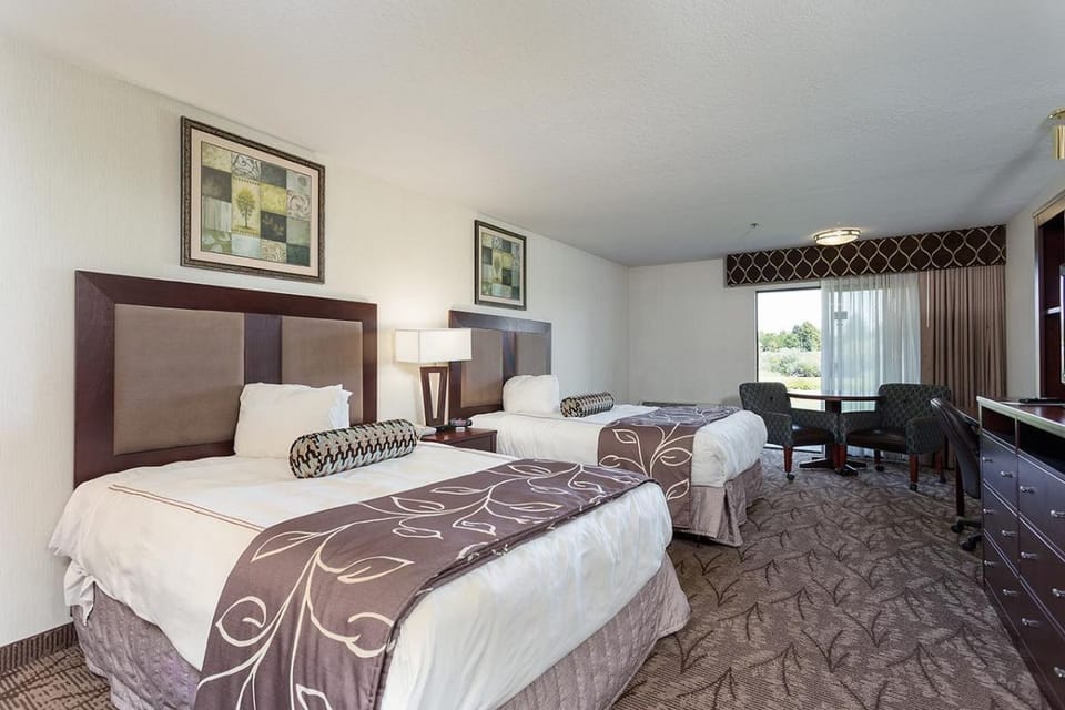 Happiness is curling up in a comfy bed after a long trip