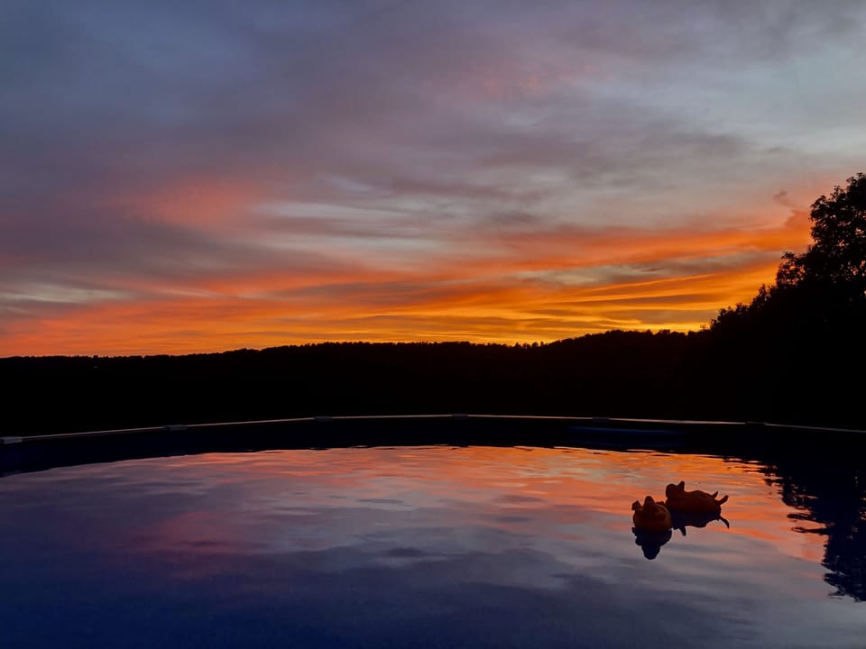 Pool with a view